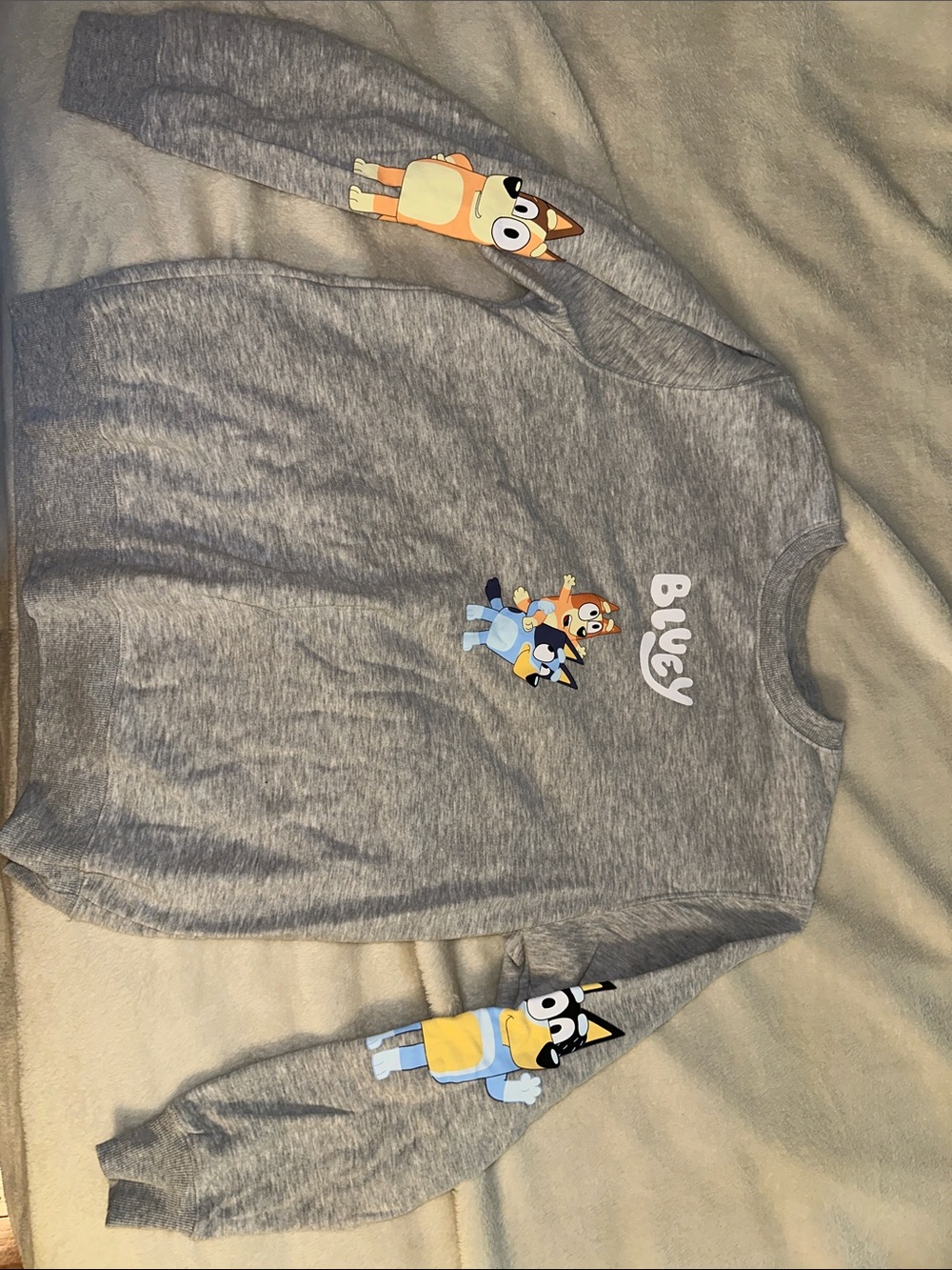 Gray Crewneck Sweater with Bluey Character Graphics